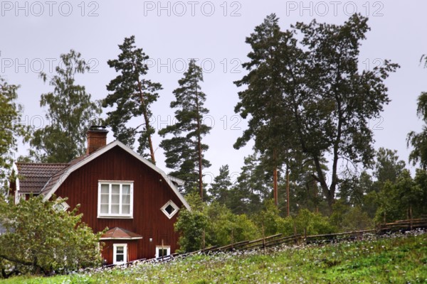 Red house surrounded by thick forests under overcast sky, Gibberya, Sweden