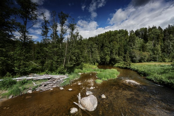 Amata river in Gauja National Park surrounded by thick forest and large stones, Gauja National Park, Latvia