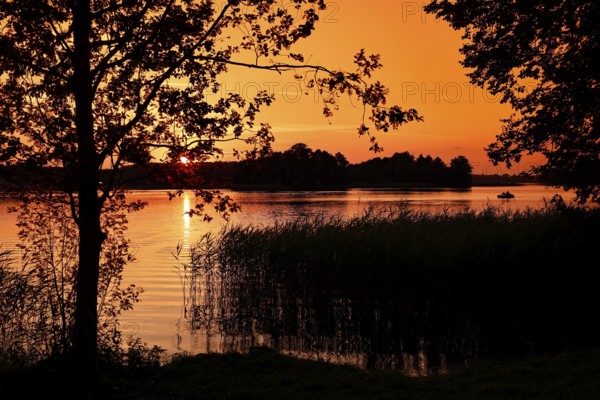 Sunset over a still lake framed by trees in silhouette, Trakai, Lithuania