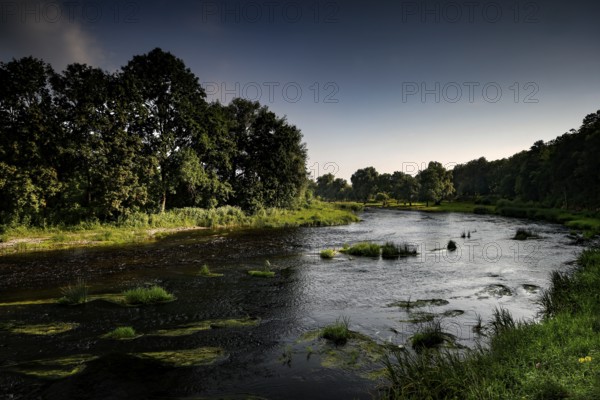 Peaceful river near Bauska surrounded by thick greenery and clear skies, Bauska, Latvia