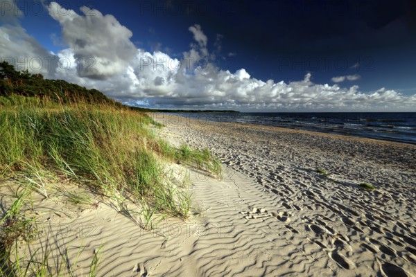 Pristine sandy beach with dunes, clouds and wide horizons, Vitrupe, Latvia