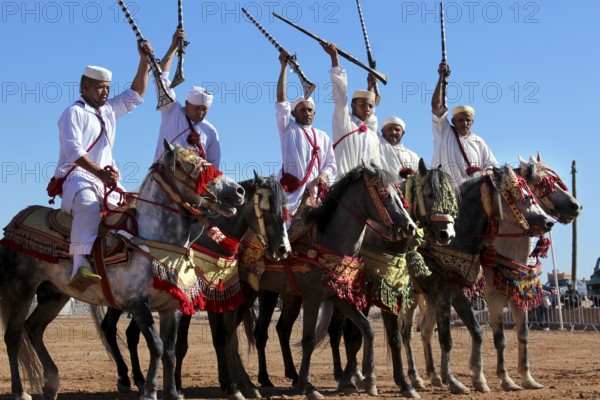 Riders joyfully hold rifles in the air as they sit on magnificently decorated horses in traditional clothing, El Kelâa m'Gouna, Morocco