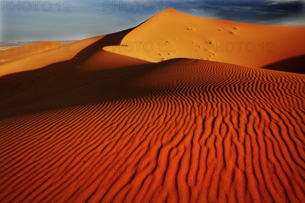 Windformed wave patterns in the sand dunes of the impressive Erg Chebbi, Erg Chebbi, Morocco