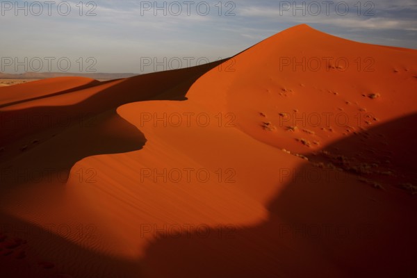 Majestic sand dunes with dramatic shadow plays in Erg Chebbi, Erg Chebbi, Morocco