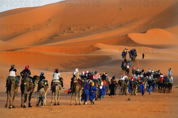 A long caravan of tourists rides camels through huge sand dunes, Erg Chebbi, Morocco