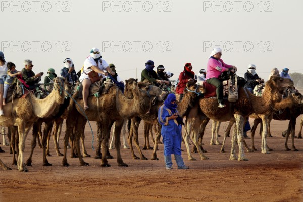Large group of tourists on camels accompanied by Bedouins in the desert, Erg Chebbi, Morocco