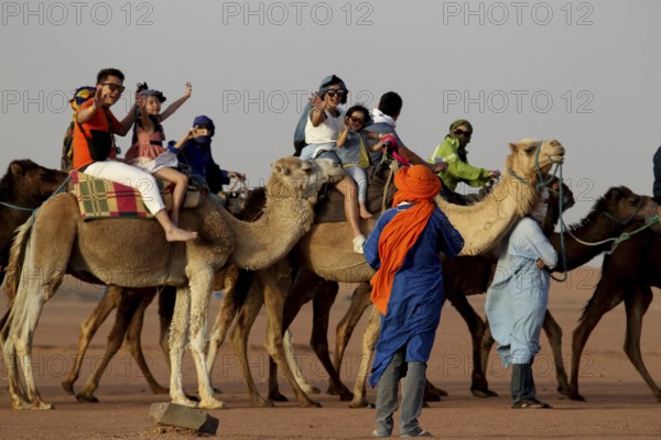 Tourists ride through the desert on camels accompanied by Bedouins, Erg Chebbi, Morocco