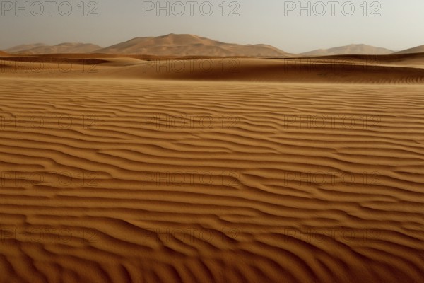 Impressive wave patterns on the sand dunes of Erg Chebbi, Erg Chebbi, Morocco