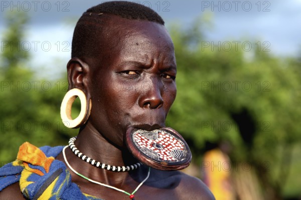 Close-up of a Mursi woman with lip plate in Mago National Park. She is wearing traditional earrings, Mago National Park, Ethiopia