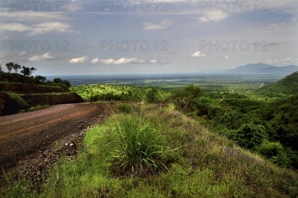 Breathtaking view of Mago National Park with a pristine green landscape, Mago National Park, region, Ethiopia