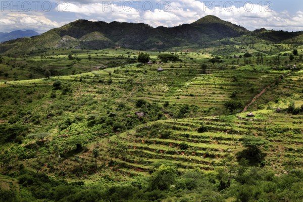 Panoramic view of terraced fields in Konso surrounded by rolling countryside, Konso, region, Ethiopia
