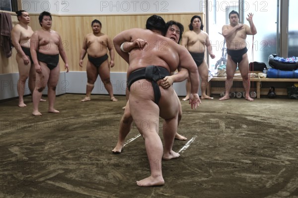Intensive movements during sumo training fight in Ryogoku Dojo, Tokyo, Ryogoku, Japan