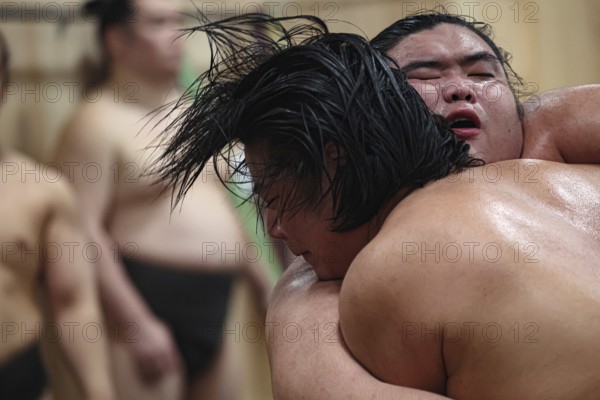 Close-up of two athletes fighting a sumo at the training center, Tokyo, Ryogoku, Japan