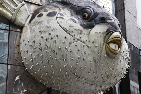 Large pufferfish as decoration at a restaurant in Tokyo, Tokyo, Japan