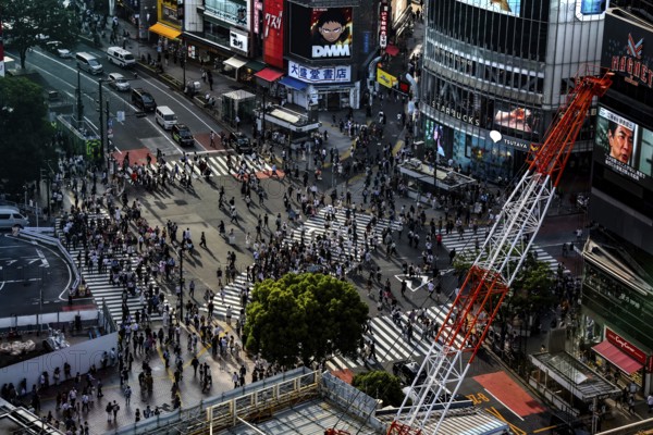 View from above of the busy Shibuya Intersection in Tokyo, Tokyo, Shibuya, Japan