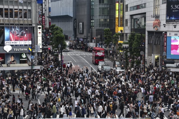 Large crowd crosses the busy Shibuya Intersection in Tokyo, Tokyo, Shibuya, Japan