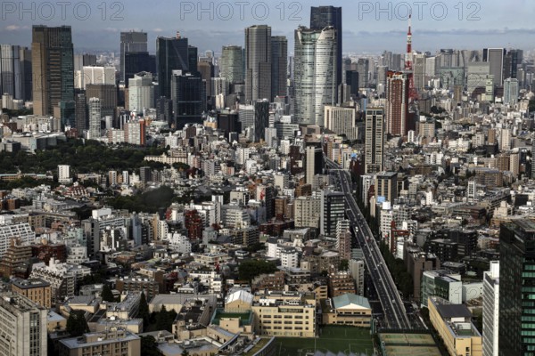 Tokyo city panorama with modern skyscrapers and urban landscape, Tokyo, Kanto, Japan