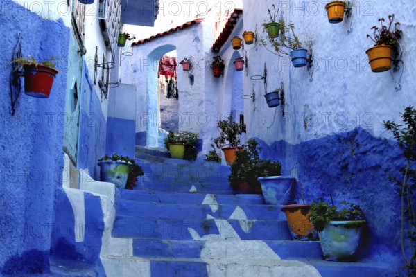 Blue staircase with colorful flower pots in a quiet alley of the Medina, Chefchaouen, Morocco