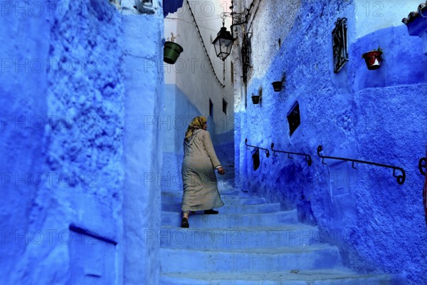 Woman in traditional dress climbing the blue steps of a Medina alley in Chefchaouen, Chefchaouen, Tanger-Tetouan, Morocco