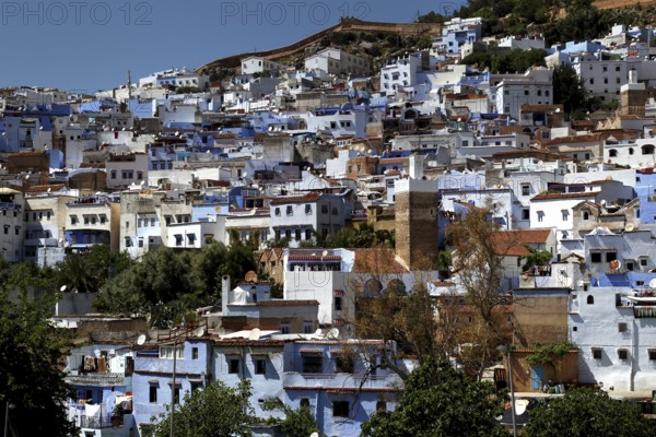View of the hilltop town of Chefchaouen with distinctive blue and white buildings, Chefchaouen, Tanger-Tetouan, Morocco