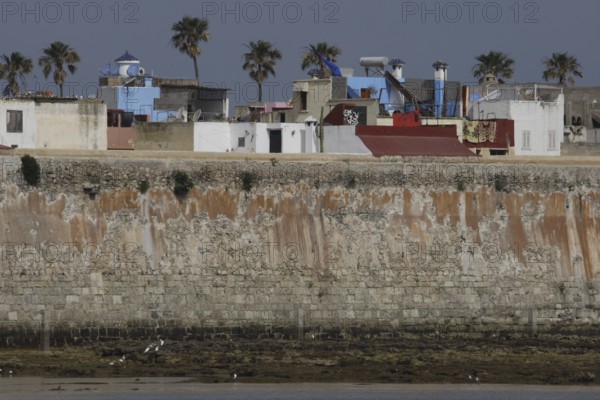 View of the Cité Portugaise of El Jadida with distinctive city walls and palm trees, El Jadida, Casablanca-Settat, Morocco