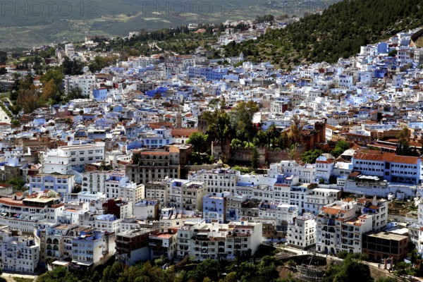 Panoramic view of the blue city of Chefchaouen nestled in a mountainous landscape, Chefchaouen, Tanger-Tetouan, Morocco