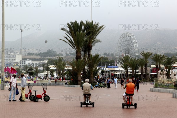 Visitors ride Segways along Agadir's beach promenade, palm trees line the trail, Agadir, Morocco