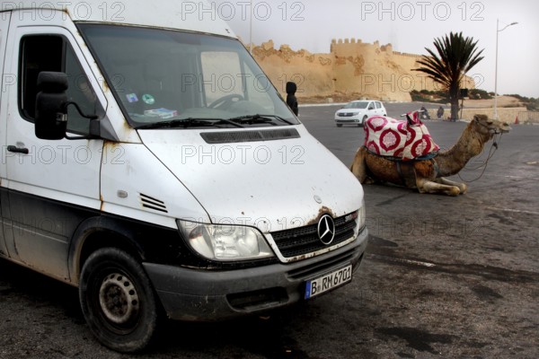 White van and a camel in a parking lot in front of a historic kasbah in Agadir, Agadir, zero, Morocco