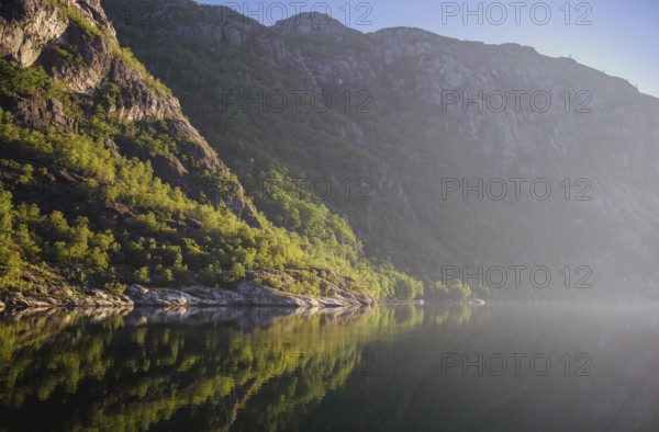 Idyllic Lysefjord with forest and mountains in morning sunlight, Lysefjord, Rogaland, Norway