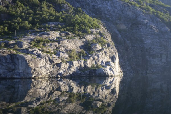 Steep rock face reflected in quiet Lysefjord surrounded by pine trees, steep wall with trees reflected on calm water, Lysefjord, Rogaland, Norway