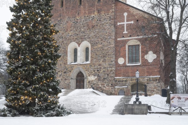 Christmas tree with fairy lights in front of stairs leading to the main portal, Turku Cathedral, Finnish Turun Tuomiokirkko, Swedish Åbo Domkyrka, medieval cathedral, main church of the Evangelical Lutheran Church, wintery Turku, Finland