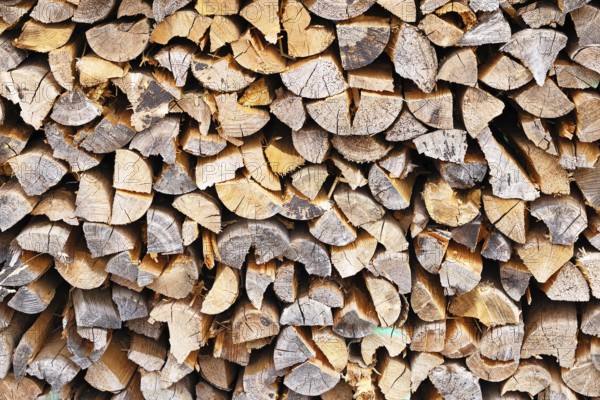 Wood, firewood, split and stacked, heat, energy, heating, Wilnsdorf, North Rhine-Westphalia, Germany