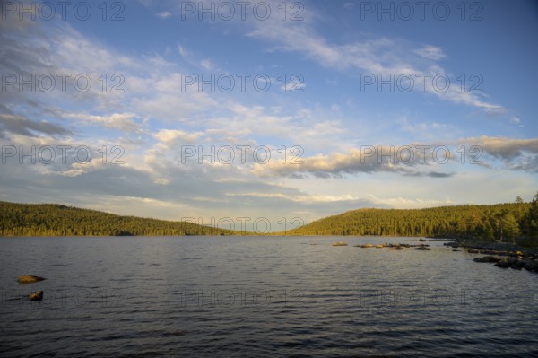 Extensive lake Gutulsjön in Gutulia National Park at dusk surrounded by forest and clouds in the sky, Gutulia National Park, Engerdal, Innlandet, Norway