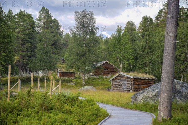 Small wooden huts on an alpine pasture in the forest with a hiking trail surrounded by trees, Gutulia National Park, Engerdal, Innlandet, Norway