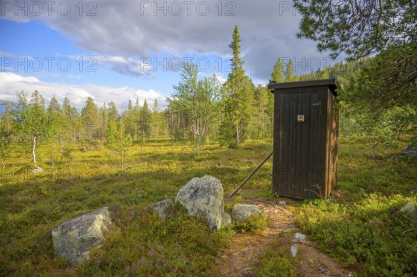 Wooden cabin in forest surrounded by trees and mossy ground under cloudy sky, Gutulia National Park, Engerdal, Innlandet, Norway
