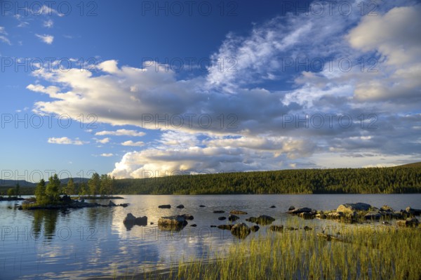 Calm lake with cloudy sky and reflections, surrounded by green trees, Gutulia National Park, Engerdal, Innlandet, Norway
