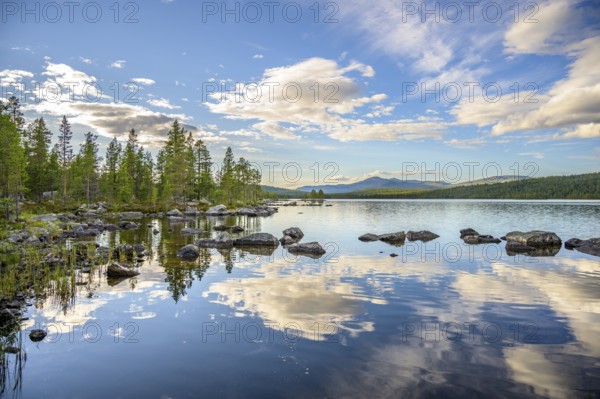 Mirror-clear water surface of the lake with reflection of trees and clouds, Gutulia National Park, Engerdal, Innlandet, Norway