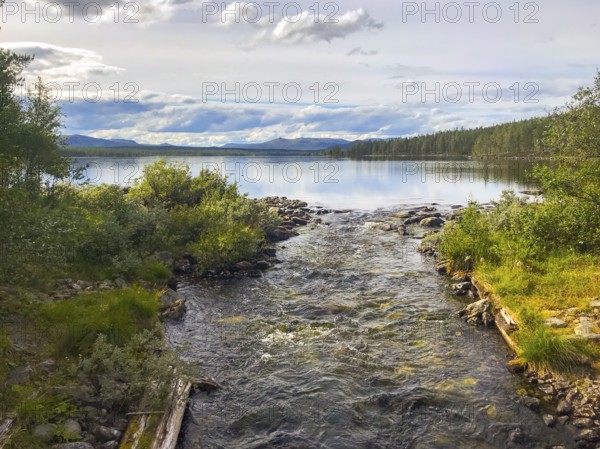 Drevsjø, Innlandet, Norway, A river flows into a calm lake surrounded by trees and a cloudy sky, Gutulia National Park, Engerdal, Innlandet, Norway