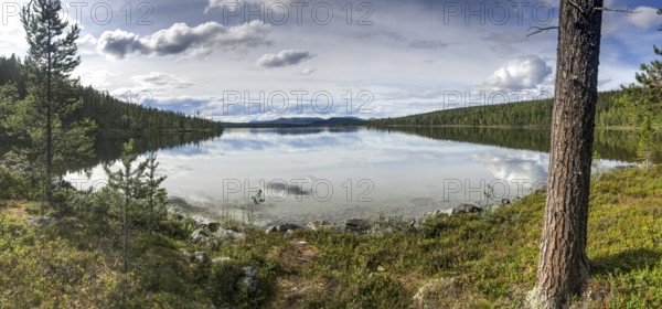 Drevsjø, Innlandet, Norway, calm lake with forest and reflection of clouds, peaceful atmosphere, Gutulia National Park, Engerdal, Innlandet, Norway