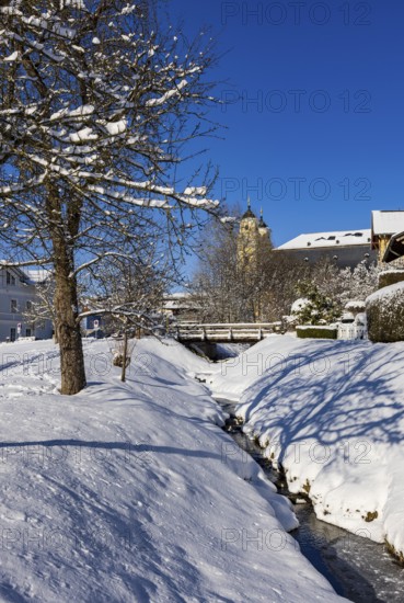 Snowy fruit trees with St. Michael Basilica, Mondsee, Mondseeland, Salzkammergut, Upper Austria, Austria