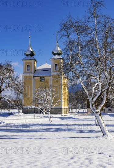 Snowy fruit trees with St. Lawrence Church in Sankt Lorenz bei Mondsee, Mondseeland, Salzkammergut, Upper Austria, Austria
