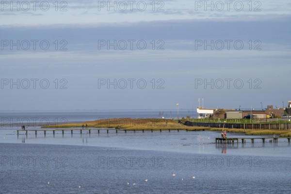 A coastline with footbridges and buildings under a wide, blue sky, Wadden Sea National Park, Jade Bay, Dangast, Varel, Lower Saxony, Germany