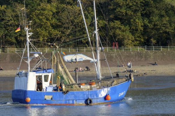 Blue fishing boat fishing boat on Jade Bay sails into Dangaster Harbour near the wooded shore under clear skies, Wadden Sea National Park, Jade Bay, Dangast, Varel, Lower Saxony, Germany