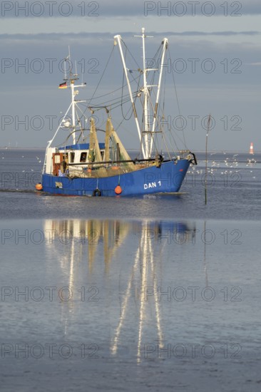 Blue fishing boat fishing trawler with reflection on still water under clear sky, Wadden Sea National Park, Jade Bay, Dangast, Varel, Lower Saxony, Germany