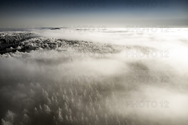 Holland, Borgholzhausen, North Rhine-Westphalia, Germany, Frosty treetops rise through a blanket of fog in a dream winter landscape, aerial view