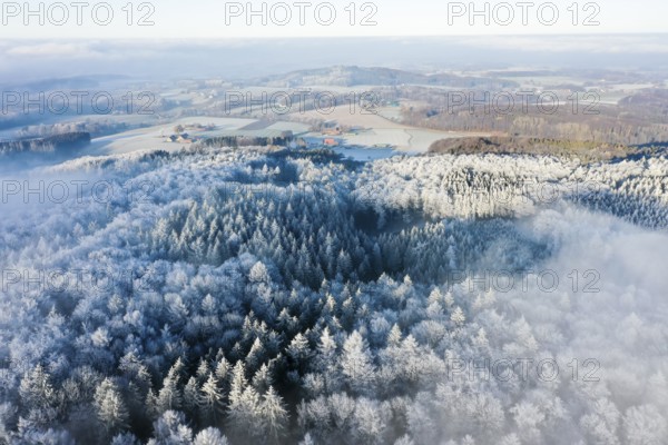 Borgholzhausen, North Rhine-Westphalia, Germany, large snowy forest from a bird's eye view, vast winter landscape