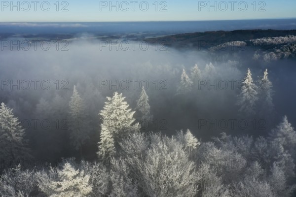 Borgholzhausen, North Rhine-Westphalia, Germany, snowy Teutoburg Forest seen from above in fog, wintry and cool atmosphere