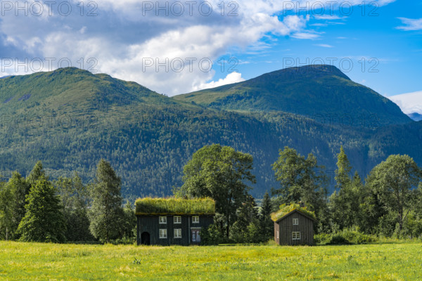 Two houses with grass roofs in a green landscape against mountains and a blue sky