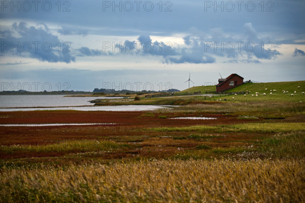 Wide coastal landscape with pastures, a farm and wind turbines under cloudy sky