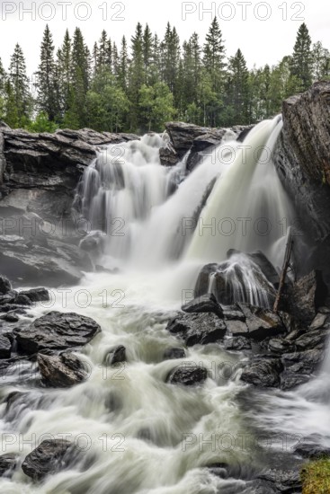 Powerful, foaming waterfall surrounded by trees through rough rocks
